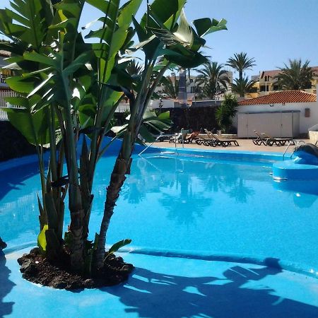 Paraiso Royal Dany & Pina Πλάγια ντε λας Αμέρικας Εξωτερικό φωτογραφία
