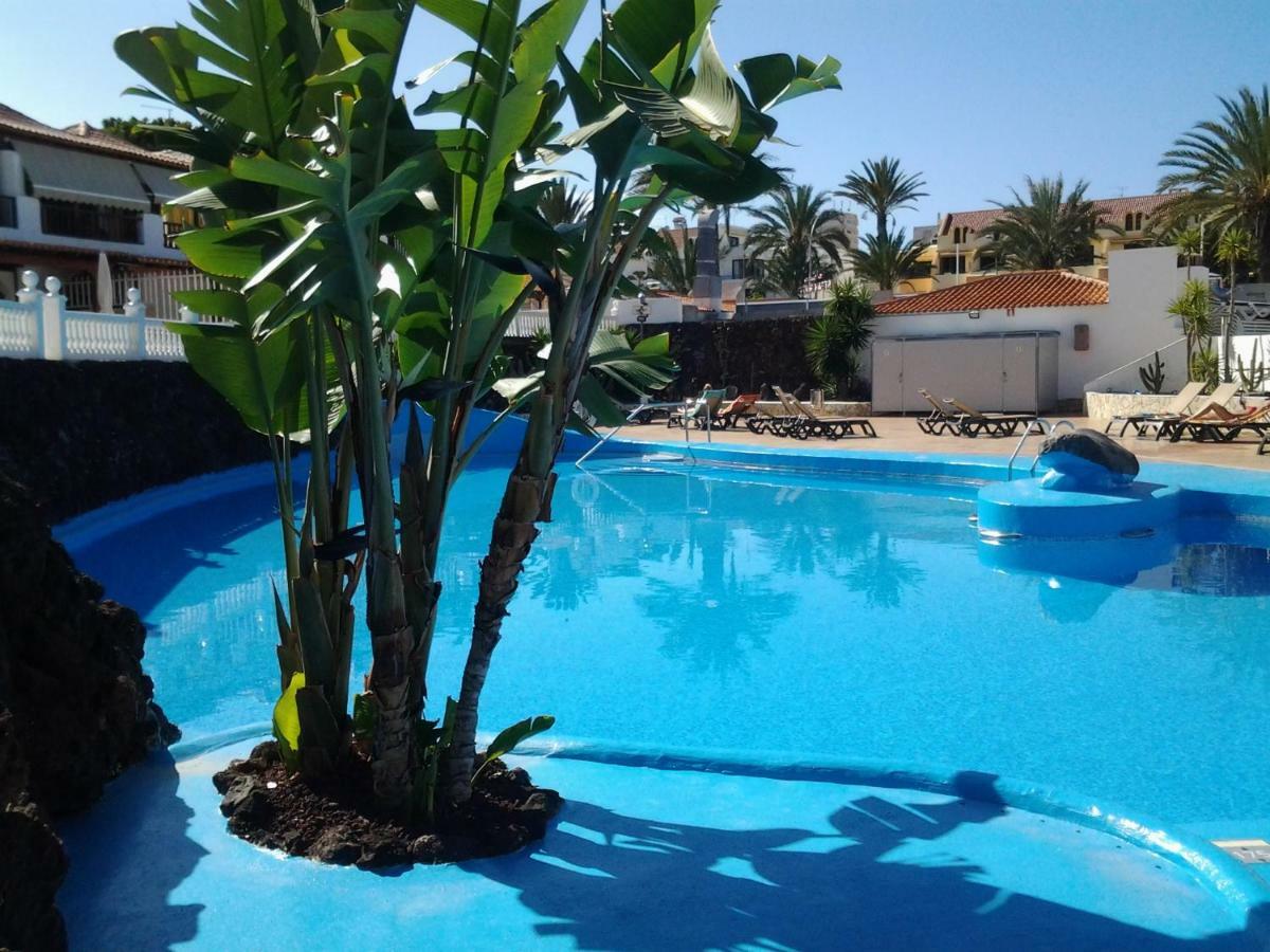 Paraiso Royal Dany & Pina Πλάγια ντε λας Αμέρικας Εξωτερικό φωτογραφία